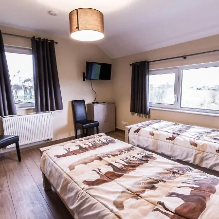 Modern Holiday With A Fireplace Located In The Ardennes